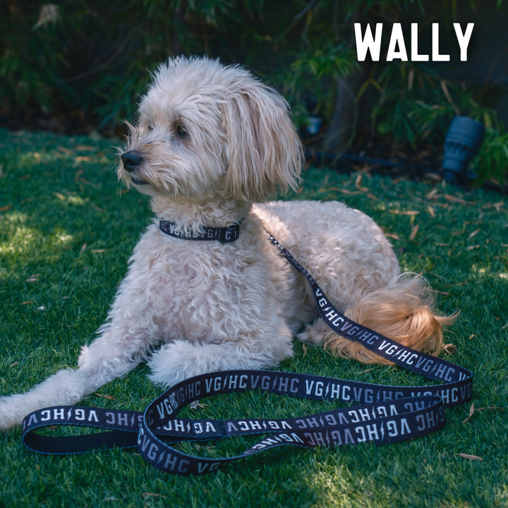 Hockey Bolt Club Pet Collar - - Accessories - Violent Gentlemen Hockey Lifestyle | Built by Fans for Fans | Perfect Gift for hockey fan or hockey players that live in the hockey culture