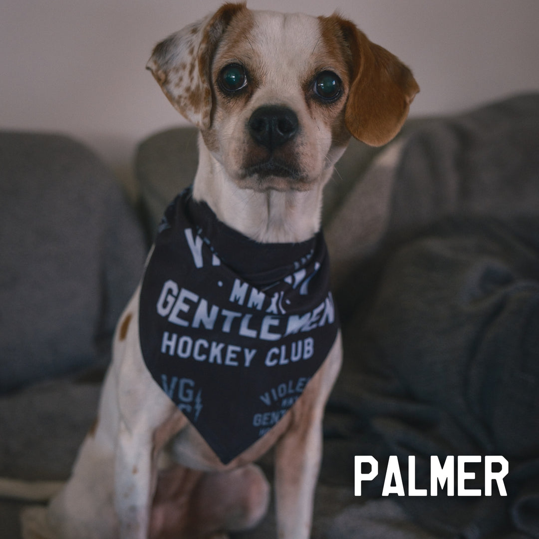 Hockey Bolt Club Pet Collar - - Accessories - Violent Gentlemen Hockey Lifestyle | Built by Fans for Fans | Perfect Gift for hockey fan or hockey players that live in the hockey culture