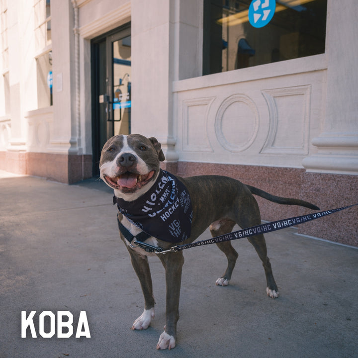 Hockey Bolt Club Pet Collar - - Accessories - Violent Gentlemen Hockey Lifestyle | Built by Fans for Fans | Perfect Gift for hockey fan or hockey players that live in the hockey culture