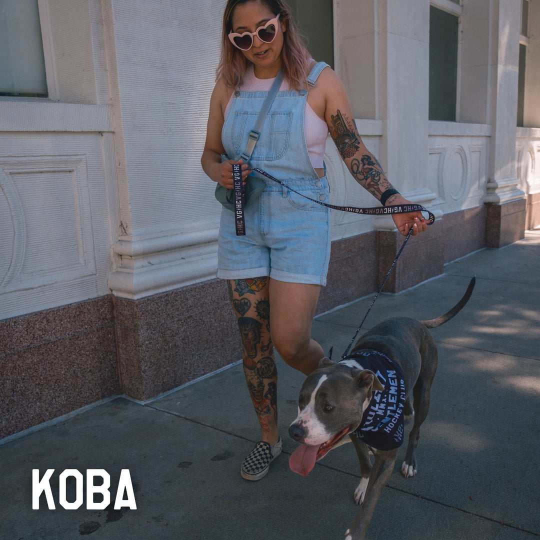 Hockey Bolt Club Pet Collar - - Accessories - Violent Gentlemen Hockey Lifestyle | Built by Fans for Fans | Perfect Gift for hockey fan or hockey players that live in the hockey culture